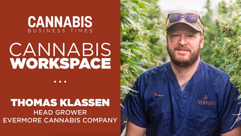 Cannabis Business Times Interviews Head Grower: Thomas Klassen